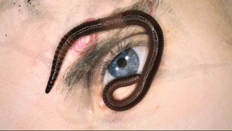An earthworm is crawling over a human eye