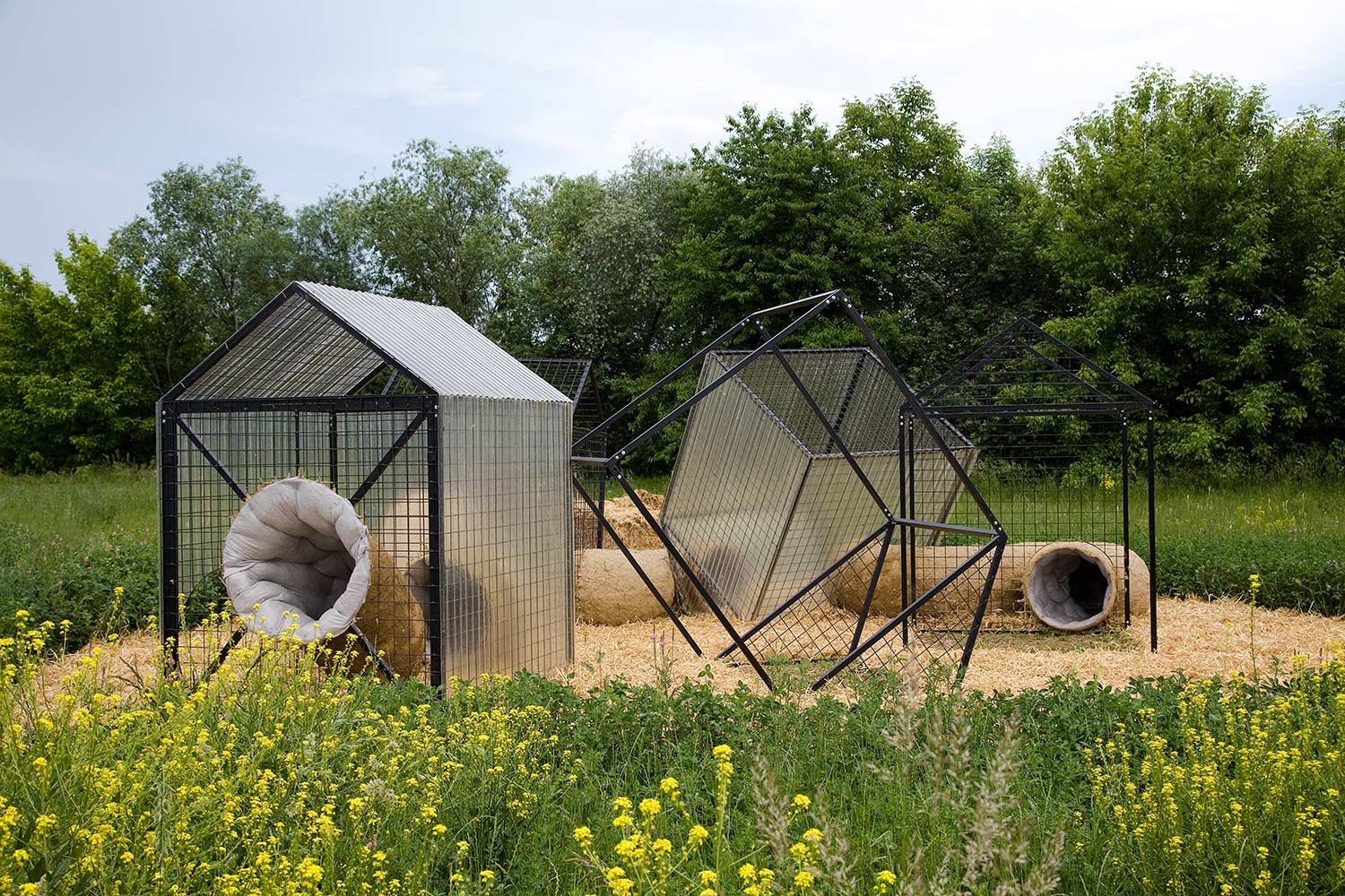 In this installation several huts made of steel connected with wormholes made of clay stand in a grassfield